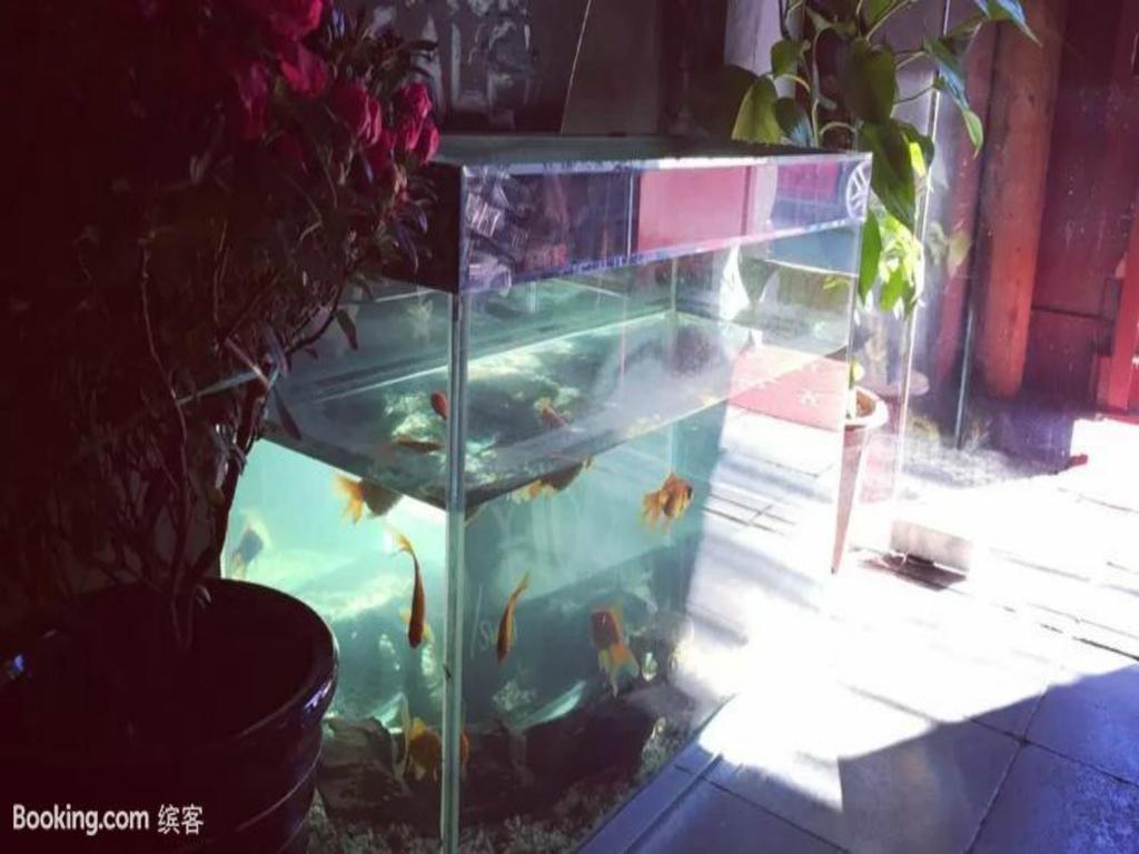 Three Legged Frog Hostel Peking Kültér fotó